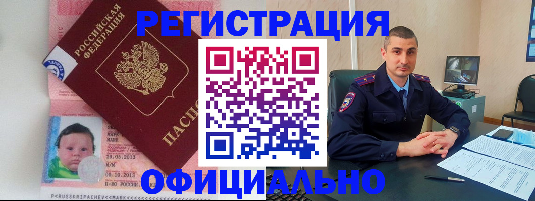 прописка поиск в Невеле